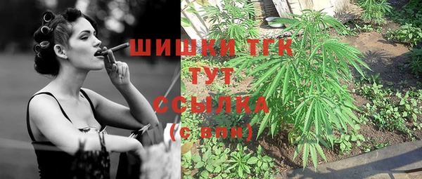 ГАЛЛЮЦИНОГЕННЫЕ ГРИБЫ Гусиноозёрск