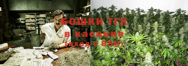 ГАЛЛЮЦИНОГЕННЫЕ ГРИБЫ Гусиноозёрск