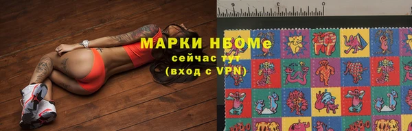 ГАЛЛЮЦИНОГЕННЫЕ ГРИБЫ Гусиноозёрск