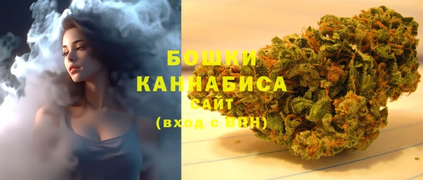 ГАЛЛЮЦИНОГЕННЫЕ ГРИБЫ Гусиноозёрск